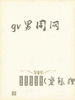 gv男同网