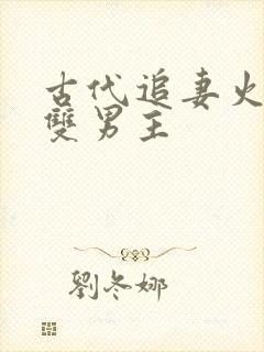 古代追妻火葬场双男主