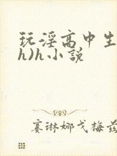 玩淫高中生(高h)h小说