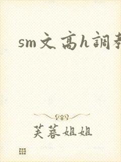 sm文高h调教封面