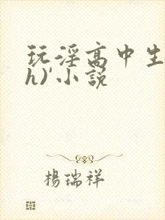 玩淫高中生(高h)'小说
