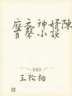 麻衣神婿陈黄皮有声小说封面