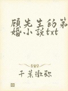 顾先生的第一宠婚小说txt