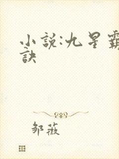 小说:九星霸体诀