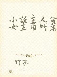 小说主人公林凡女主角叫叶惜