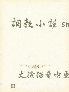调教小说 sm封面