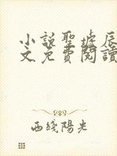 小说圣墟辰东全文免费阅读完整版