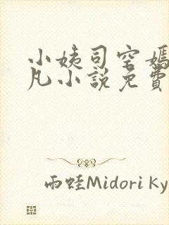 小姨司空嫣然叶凡小说免费阅读全文