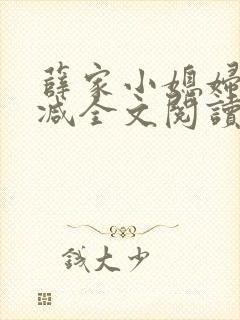 薛家小媳妇无删减全文阅读笔趣阁封面