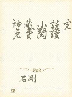 神藏小说完整版免费阅读