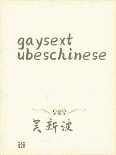 gaysextubeschinese