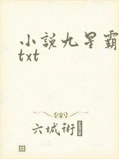 小说九星霸体诀txt