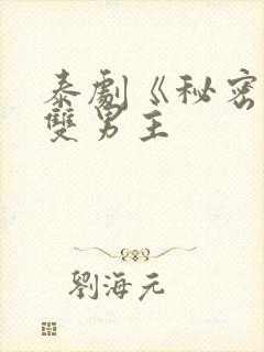泰剧《秘密爱》双男主