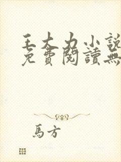 王大力小说小说免费阅读无弹窗