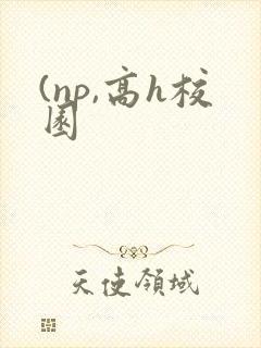 (np,高h校园