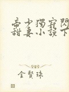 帝少独宠闪婚小甜妻小说下载