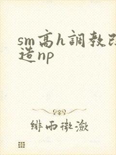 sm高h调教改造np封面