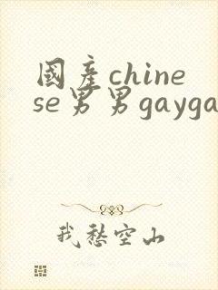 国产chinese男男gaygayvideo封面