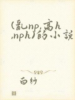 (乱np,高h,nph)的小说