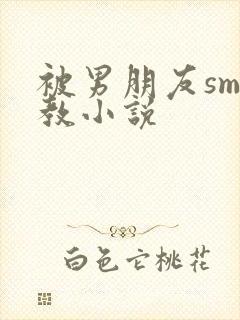 被男朋友sm调教小说