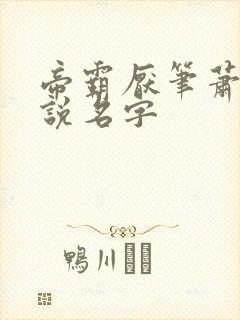 帝霸厌笔萧生小说名字