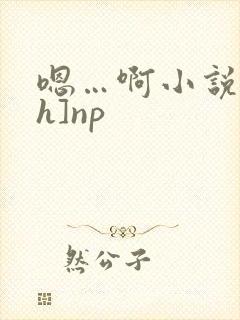 嗯…啊小说[高h]np