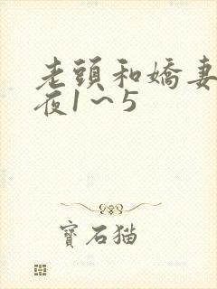 老头和娇妻销魂夜1～5