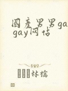 国产男男gay gay网站