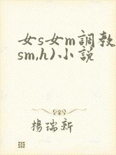 女s女m调教(sm,h)小说