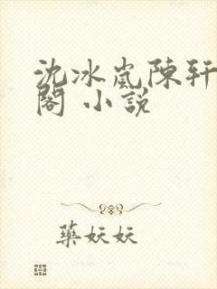 沈冰岚陈轩笔趣阁 小说