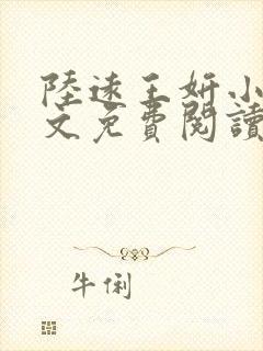陆远王妍小说全文免费阅读