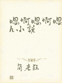 嗯啊嗯啊嗯啊高h小说