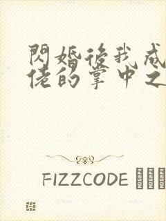 闪婚后我成了大佬的掌中之物未删减