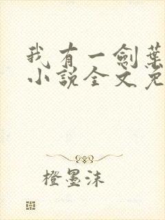 我有一剑叶观 小说全文免费阅读
