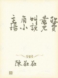主角叫黄政的官场小说免费阅读
