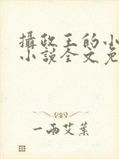 摄政王的小狼妃小说全文免费阅读