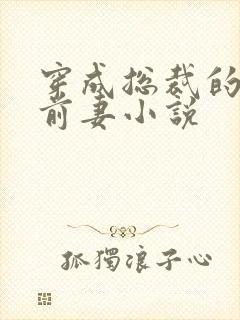 穿成总裁的美艳前妻小说封面