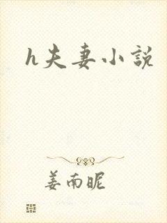 h夫妻小说