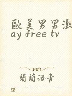 欧美男男激情gay free tv