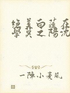 绝美白莲在线教学莫之阳沈长留txt下载