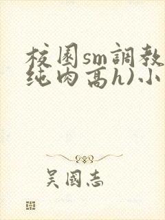 校园sm调教(纯肉高h)小说