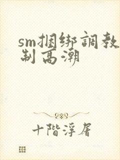 sm捆绑调教强制高潮