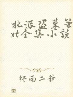北派盗墓笔记txt全集小说