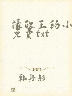 摄政王的小闲妻免费txt