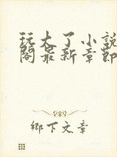 玩大了小说笔趣阁最新章节无弹窗封面