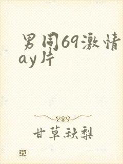 男同69激情gay片封面
