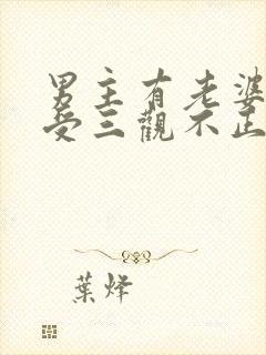 男主有老婆出轨受三观不正