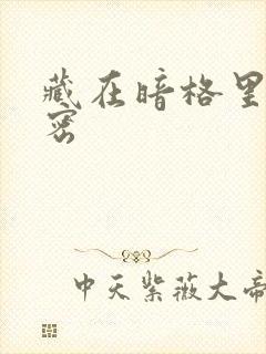 藏在暗格里的秘密
