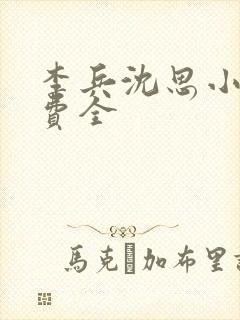 李兵沈思小说免费全