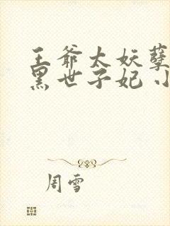 王爷太妖孽:腹黑世子妃 小说